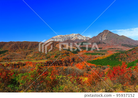 [鳥取縣]晴天從木乘台展望台看到的秋色大山 95937152