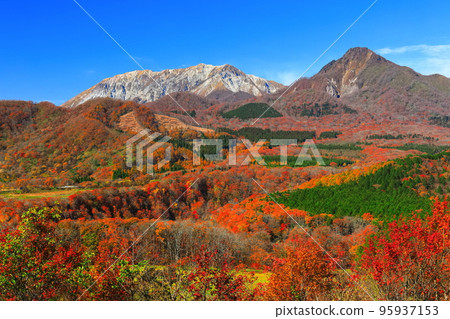 [鳥取縣]晴天從木乘台展望台看到的秋色大山 95937153