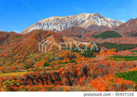 [Tottori Prefecture] Mt. Daisen in autumn colors seen from the Kijodai observatory on a sunny day 95937158