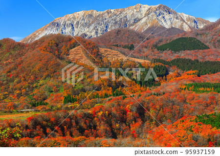 [Tottori Prefecture] Mt. Daisen in autumn colors seen from the Kijodai observatory on a sunny day 95937159