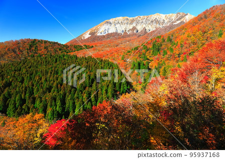 [鳥取縣]晴天從掛掛山口看到的秋色大山 95937168