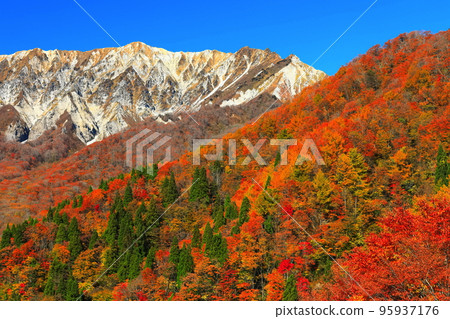 [鳥取縣]晴天從掛掛山口看到的秋色大山 95937176
