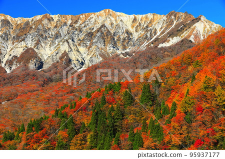 [Tottori Prefecture] Mt. Daisen in autumn colors seen from Kagikake Pass on a sunny day 95937177