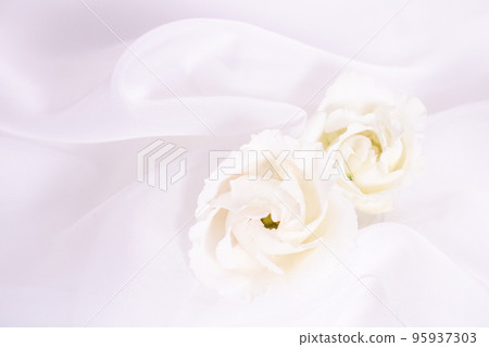 Beautiful drape of soft cloth and white flowers Wedding image Beautiful drape of soft cloth and white flowers Wedding image 95937303