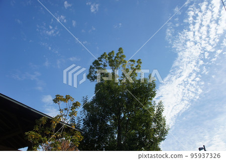 White cloud in autumn sky 95937326