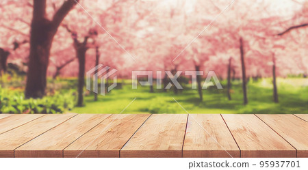 Empty wooden table in Sakura Flower Park with garden bokeh background. Product mockup template. 95937701