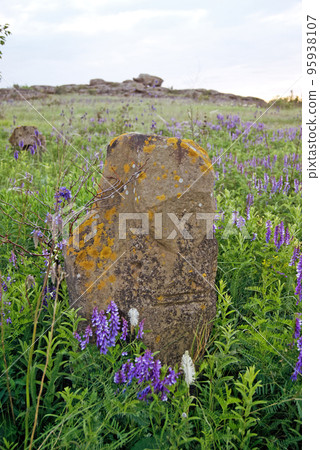 Stone idol in the steppe Stone idol in the steppe 95938107