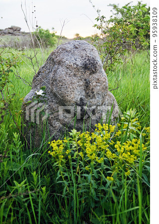 Stone idol in the steppe 95938109