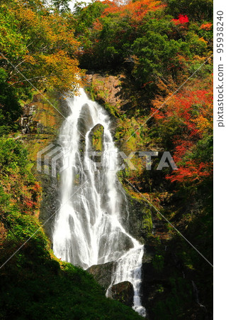 [岡山縣]晴天的神場瀑布和紅葉 95938240