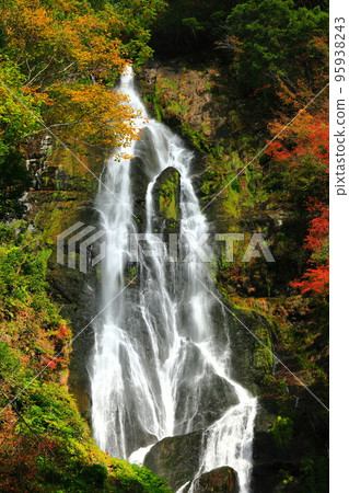 [岡山縣]晴天的神場瀑布和紅葉 95938243