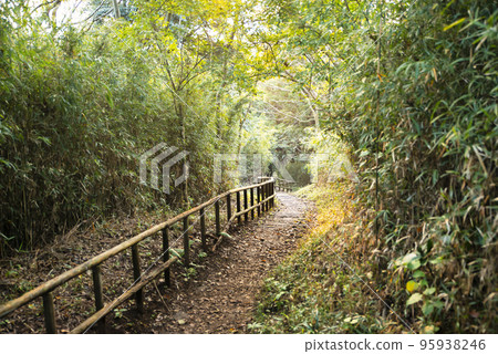 Rokkunimiyama Forest Park in Kamakura City, Kanagawa Prefecture Rokkunimiyama Forest Park in Kamakura City, Kanagawa Prefecture 95938246