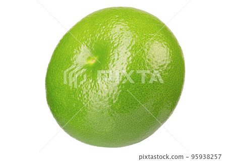 Citrus Sweetie or Pomelit, oroblanco isolated on white background close-up. 95938257