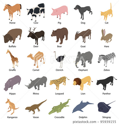 Animals with signed name icons set. Isometric illustration of 25 animals with signed name vector icons for web 95939155