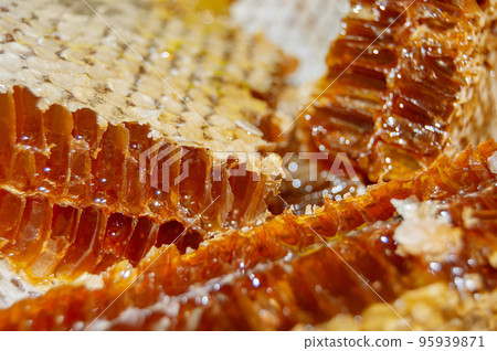Gold honey in honeycomb closeup. Bee products with fresh honeycomb, honey products by organic natural ingredients Gold honey in honeycomb closeup. Bee products with fresh honeycomb, honey products by organic natural ingredients 95939871