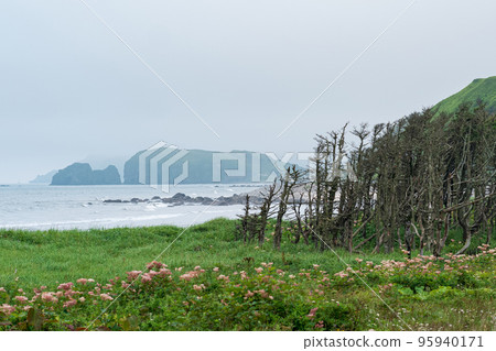 foggy coastline of Kunashir island with mountains hidden in haze foggy coastline of Kunashir island with mountains hidden in haze 95940171