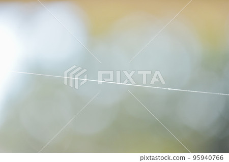 蜘蛛絲 蜘蛛絲 一根線 圖片素材 背景素材 蜘蛛絲 蜘蛛絲 一根線 圖片素材 背景素材 95940766