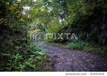紅葉川溪谷沿途風景 紅葉川溪谷沿途風景 95943936