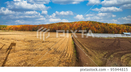 Landscape photo Landscape photo 95944815