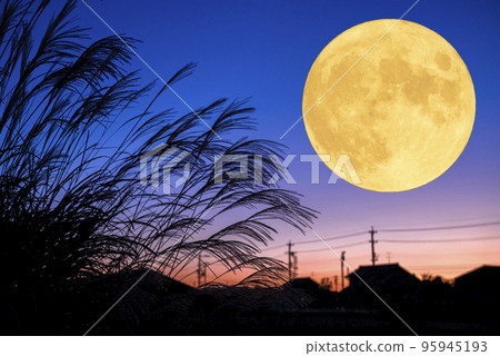 Image of autumn moon viewing. Full moon, pampas grass and sunset at dusk. Image of autumn moon viewing. Full moon, pampas grass and sunset at dusk. 95945193