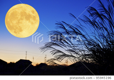 秋月觀景圖。滿月、蒲葦和黃昏的日落。 95945196