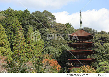Yamaguchi Rurikoji Temple Autumn foliage scenery 95945305