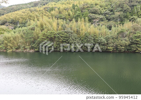 山口萩岡館 一之坂大壩和金溪湖的秋景 山口萩岡館 一之坂大壩和金溪湖的秋景 95945412
