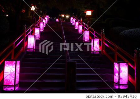Ashikaga City The path and paper lanterns of Ashikaga Orihime Shrine (Japanese night view heritage) 95945416