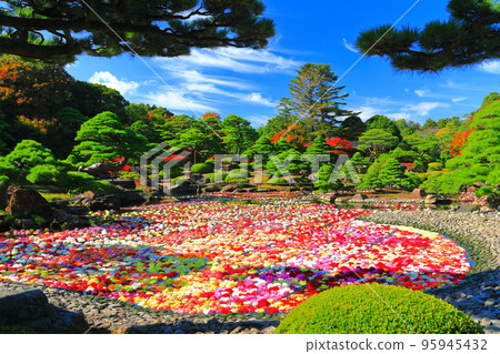[Shimane] Ikeizumi tenjiku peony (100,000 dahlias) in Yushien in fine weather 95945432