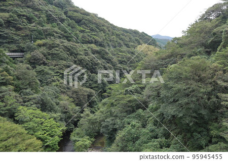 山口萩岡館 一之坂大壩和金溪湖的秋景 山口萩岡館 一之坂大壩和金溪湖的秋景 95945455