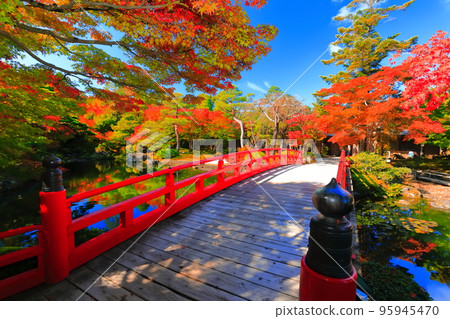 [Shimane Prefecture] Autumn leaves in Yushien on sunny days 95945470