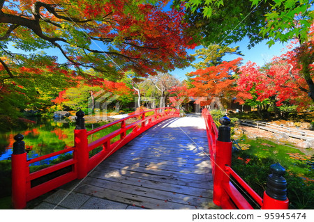 [島根縣]晴天的玉子園紅葉 95945474