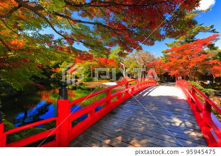 [Shimane Prefecture] Autumn leaves in Yushien on sunny days 95945475