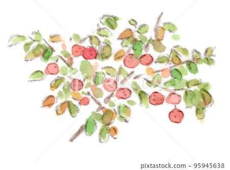Autumn harvest, watercolor illustration of red and round fruits decorating Japanese dogwood (Yamaboshi) Autumn harvest, watercolor illustration of red and round fruits decorating Japanese dogwood (Yamaboshi) 95945638