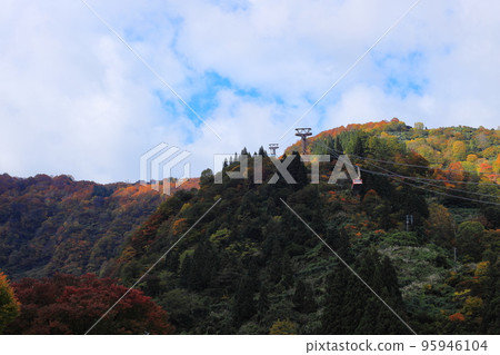 被秋葉覆蓋的山 被秋葉覆蓋的山 95946104
