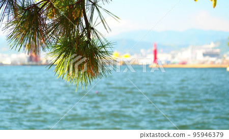 瀨戶內海,工業區,樹剪影 瀨戶內海,工業區,樹剪影 95946379