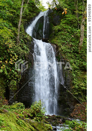 Kumoi Falls flowing down the Oirase stream 95946989