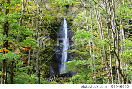 Shirafu Falls flowing down the Oirase stream 95946990