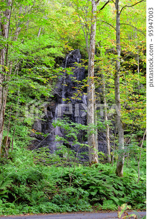黃葉中奧入瀨溪流右岸的Soshiraga瀑布 黃葉中奧入瀨溪流右岸的Soshiraga瀑布 95947003