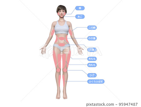 3D model of the parts of the body that women want to lose weight on. Full-body front view of a woman 95947487