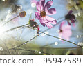cosmos with drops 95947589
