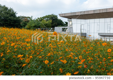 奧林匹克公園的宇宙, 宇宙公園 95947730