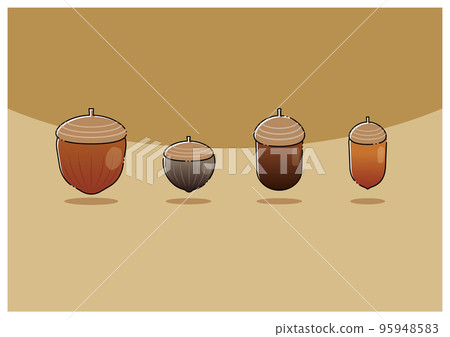 4 種橡子插圖 4 種橡子插圖 95948583