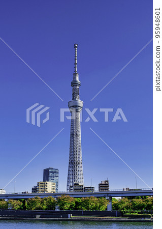 Tokyo Skytree, Sumida River, Scenery from Sumida Park Observation Plaza 95948601