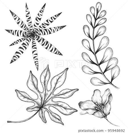 Beautiful stock floral set with different hand drawn leaf clip art illustrations. Beautiful stock floral set with different hand drawn leaf clip art illustrations. 95948692