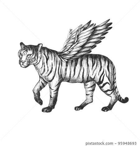 Beautiful stock hand drawn clip art illustration with unusual chimera tiger with wings animal. Beautiful stock hand drawn clip art illustration with unusual chimera tiger with wings animal. 95948693