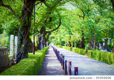 日本青山公墓 95949006