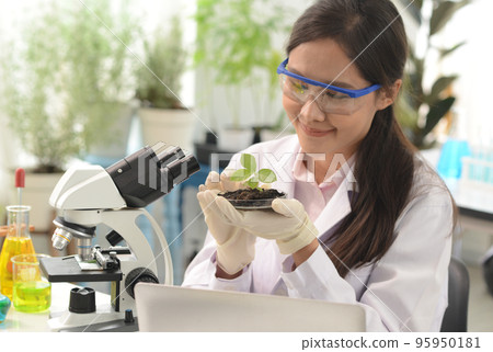 A female scientist or researcher in a lab looks at microscopic medical tests, science and biological chemistry research. Laboratory for female technicians analyzing genetic research. A female scientist or researcher in a lab looks at microscopic medical tests, science and biological chemistry research. Laboratory for female technicians analyzing genetic research. 95950181