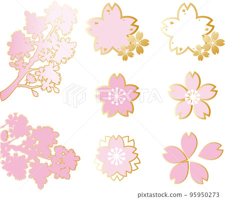 Cherry blossom illustration set Cherry blossom illustration set 95950273