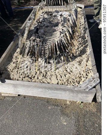Charcoal-grilled sweetfish with salt 95951307