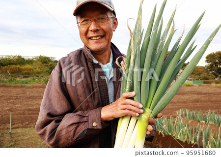 收穫蔥，資深男性 95951680